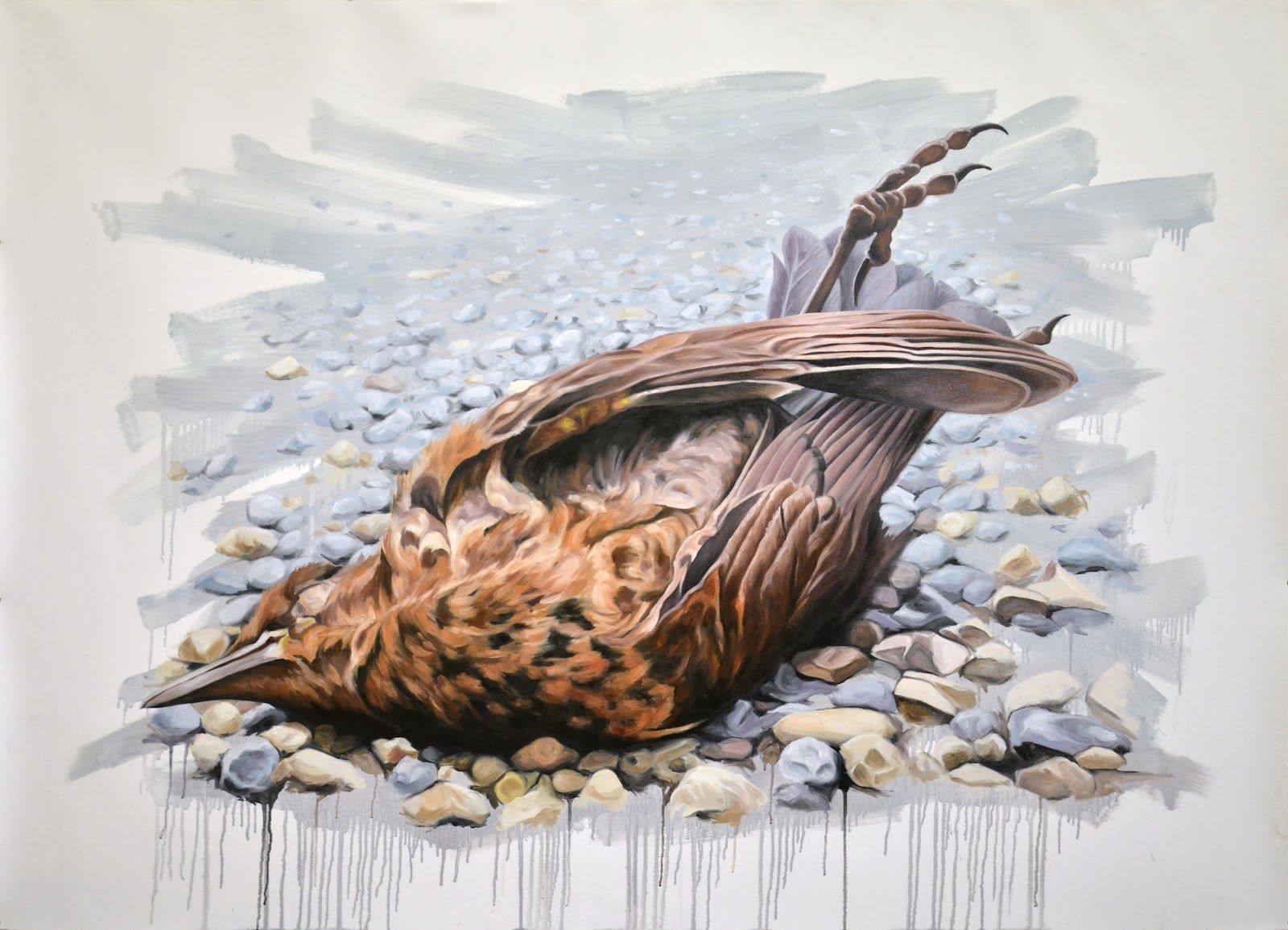 Comment Savoir Si Un Oiseau Est Mort